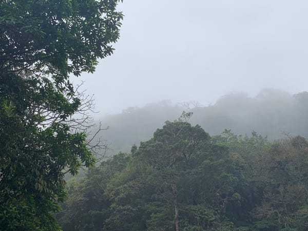 Monteverde Cloud Forest Preserve