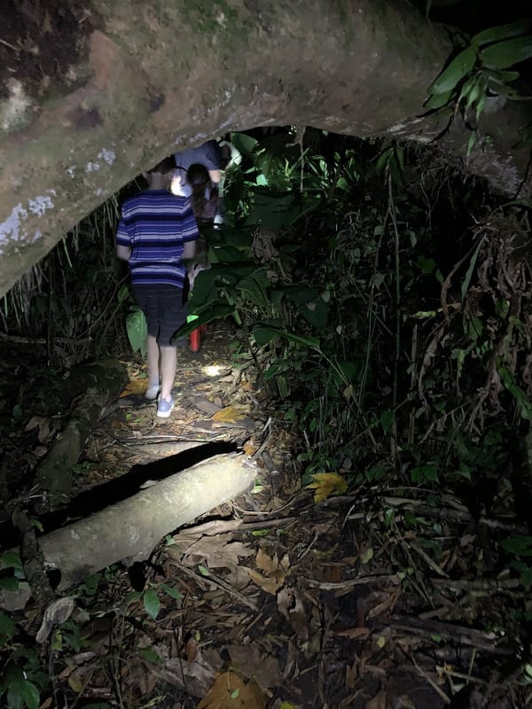 Night Hike on Tortuguero Island, Costa Rica