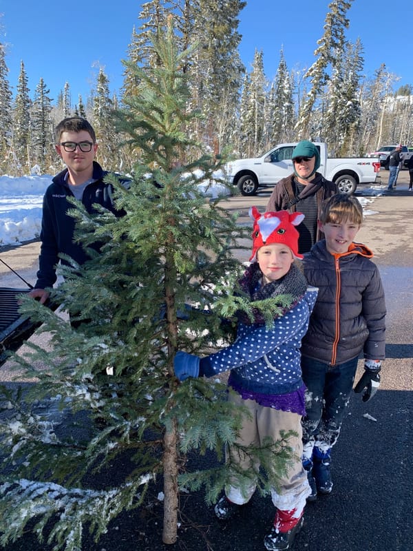 Cutting Down Our Christmas Tree