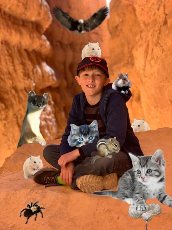 Carson's edited photos