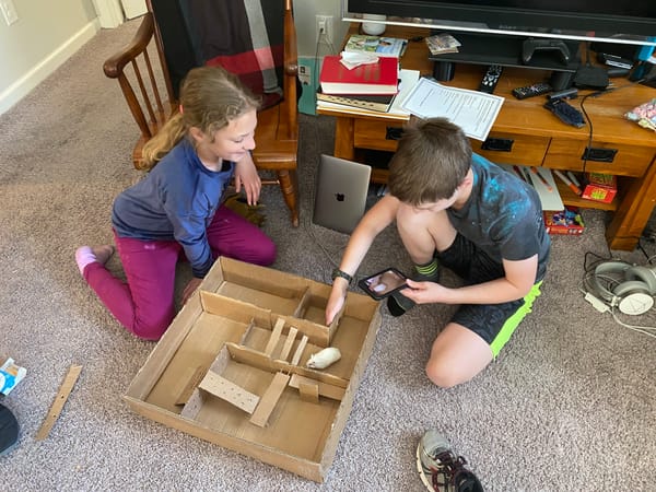 Building a hamster maze